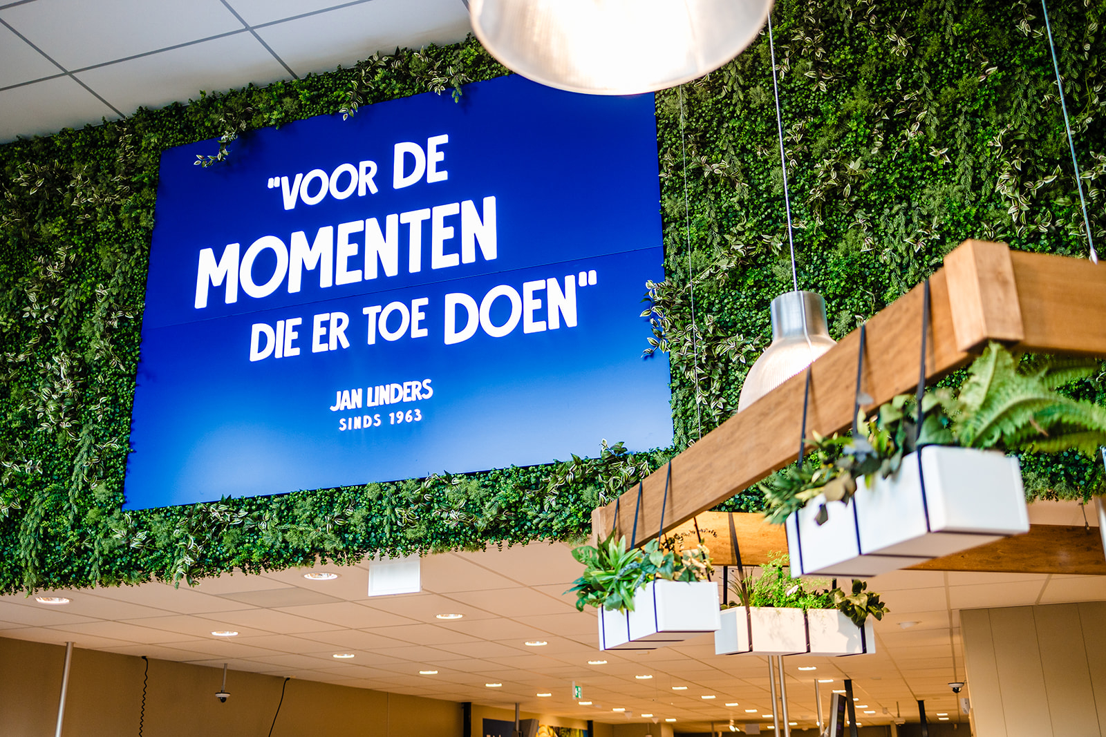 Albert heijn Jan Linders Bergen-4.jpg